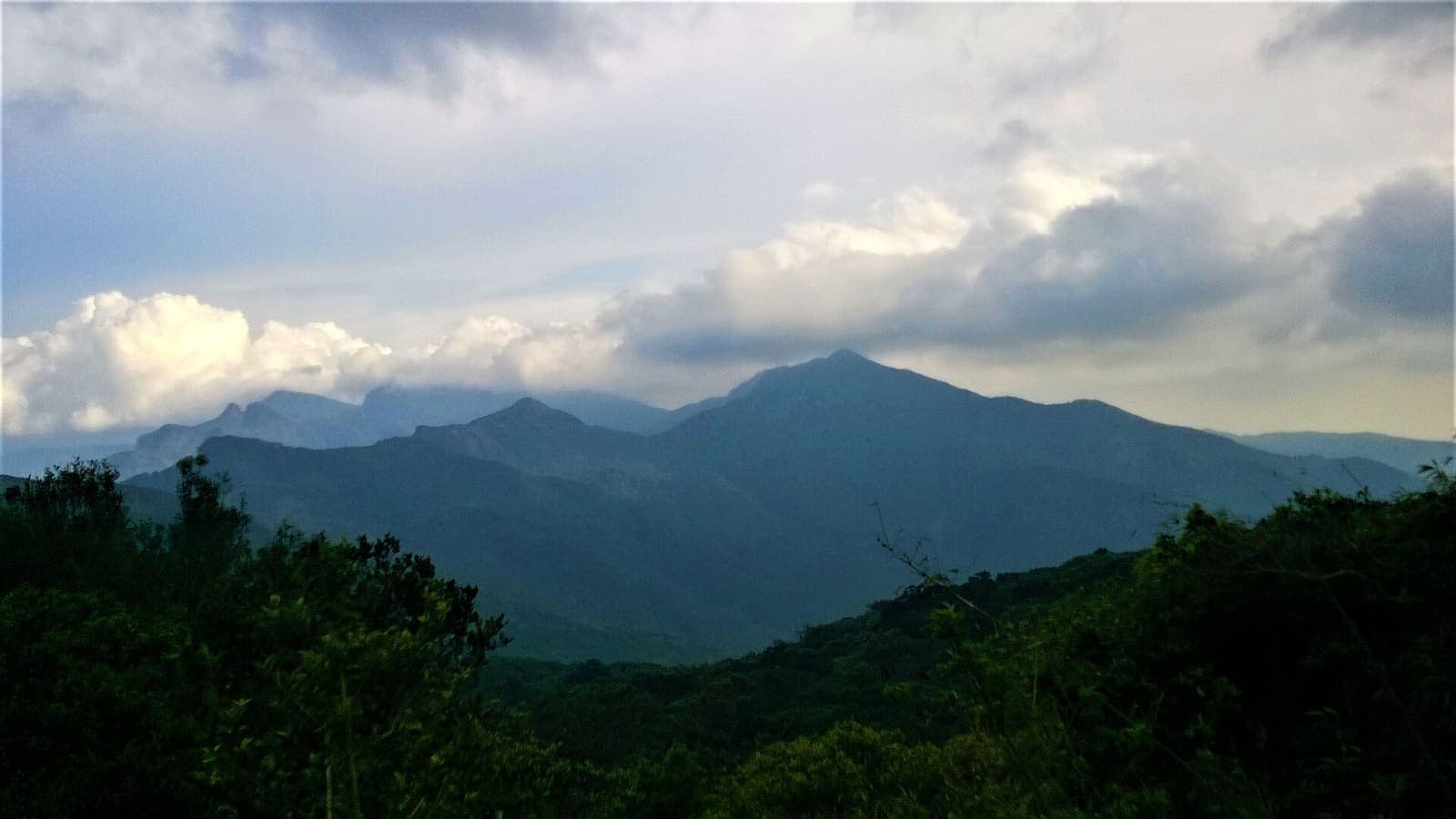 Knuckles Mountain Range